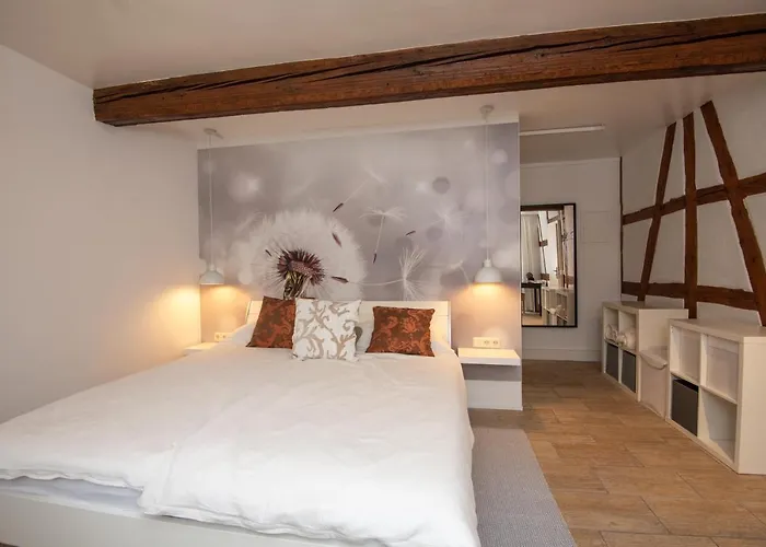 Eliese In Appartamento Suhl