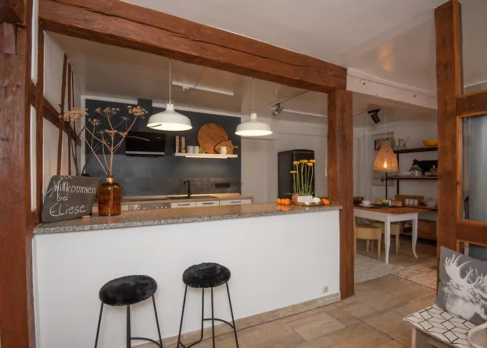 Eliese In Lägenhet Suhl